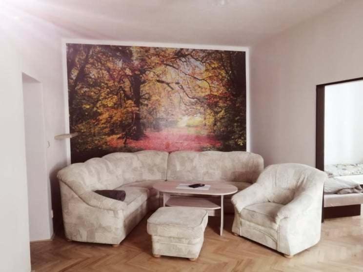 Penzion U Trojice Červená Voda Dış mekan fotoğraf