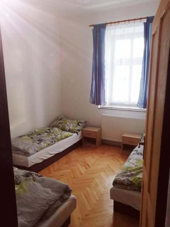 Penzion U Trojice Červená Voda Dış mekan fotoğraf